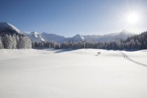 Schneebedeckte Gebirgsketten, Bäume und entfernte Wanderer im Tal — Stockfoto