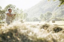 Зрелый работник сельского хозяйства собирает урожай в поле — стоковое фото