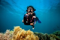 Молодая женщина смотрит на твердые и мягкие кораллы в то время как подводное плавание, Moalboal, Себу, Филиппины — стоковое фото