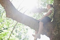 Sonriente niño sentado en el árbol - foto de stock