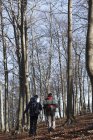 Senderistas caminando por el bosque, Montseny, Barcelona, Cataluña, España - foto de stock