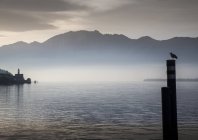 Vista panorámica de Magadino, Lago Mayor, Suiza - foto de stock