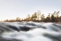 Río rápido que fluye con bosque en el fondo - foto de stock