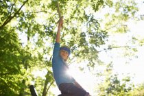 Один молодий хлопчик з іграшковим мечем, сидить на гілці дерева — стокове фото