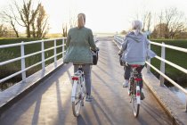 Rear view of women cycling bicycles on bridge across river — Stock Photo