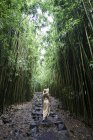Mujer joven caminando en el bosque de bambú, Hana, Maui, Hawaii - foto de stock