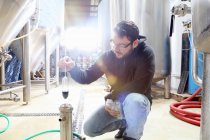 Работник пивоваренного завода, проверяющий содержание алкоголя и сахара в продукте — стоковое фото