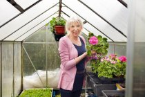 Mature woman tending flowers in greenhouse — Stock Photo