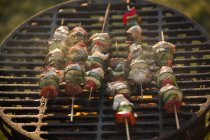 Fleisch- und Gemüsespieße beim Grillen im Freien — Stockfoto