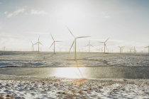 Ветряные турбины на песчаном ландшафте — стоковое фото