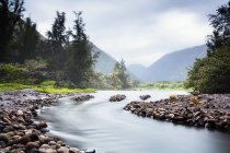 Rochers sur la rive rurale des rivières — Photo de stock
