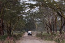 Safari транспортного засобу, озеро Накуру Національний парк, Кенія — стокове фото