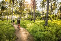 Visão traseira de duas jovens mulheres pedalando na floresta de palmeiras, Gili Meno, Lombok, Indonésia — Fotografia de Stock