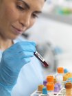 Cientista feminina visualizando várias amostras humanas para testes em laboratório — Fotografia de Stock