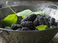 Fresh organic fruit, blackberries in colander with green leaves — Stock Photo