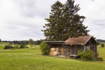 Paesaggio di campo con pagliai nel fienile tradizionale — Foto stock