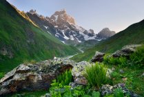 Vallée et sommet de la montagne Ushba, Svaneti, Géorgie — Photo de stock