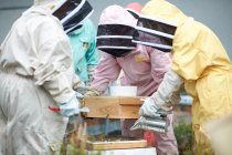 Gruppo di apicoltori che ispezionano l'alveare — Foto stock