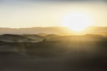 Sunlit Mesquite Flat Sand Dunes en el Parque Nacional Death Valley, California, EE.UU. - foto de stock