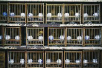 Uccelli impilati in gabbie Shanghai Bird and Flower Market, Cina — Foto stock