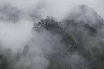 Collines couvertes de brouillard, Durmitor, Monténégro — Photo de stock
