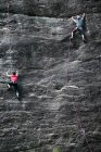Escaladores escalando roca cara - foto de stock
