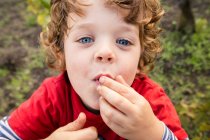 Porträt eines Jungen, der Weintrauben im Weinberg isst — Stockfoto