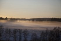 Vista panoramica di boschi e vallate ricoperte di nebbia all'alba — Foto stock