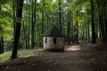 Pequeña cabaña de ladrillo en el bosque de estado de roca de Coopers - foto de stock