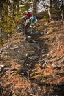 Hombres ciclismo de montaña a través del bosque - foto de stock