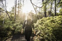 Female hiker hiking through sunlit rainforest, Pacific Rim National Park, Vancouver Island, British Columbia, Canada — Stock Photo
