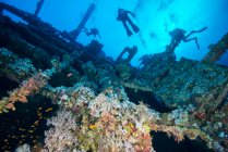 Plongeurs enquêtant sur un naufrage recouvert de corail, Mer Rouge, Marsa Alam, Egypte — Photo de stock