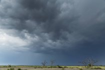 Nuages orageux sur le paysage, Kasane, Chobe National Park, Botswana, Afrique — Photo de stock