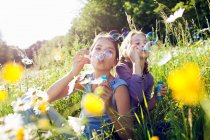 Sisters sitting in field of flower blowing bubbles — Stock Photo