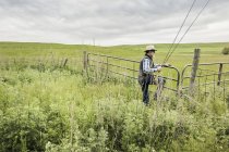 Человек в поле держит удочки, лазающие по воротам — стоковое фото