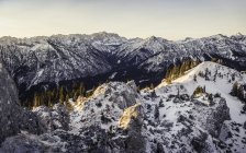 Schneebedeckte Berge mit Bäumen und Sonnenaufgangslicht — Stockfoto