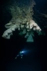 Immersioni subacquee esplorando formazioni naturali uniche conosciute come 