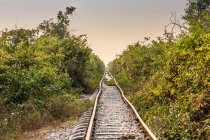 Vue du chemin de fer en bambou — Photo de stock