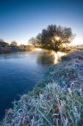 Gelo su impianti in riva al fiume — Foto stock