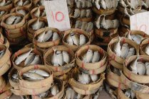 Fischmarkt, bangkok, thailand — Stockfoto