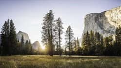 Wiese und Felsformationen bei Sonnenuntergang, Yosemite Nationalpark, Kalifornien, USA — Stockfoto