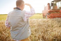 Vista traseira do agricultor no campo de trigo olhando para ceifeira — Fotografia de Stock