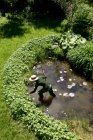 Hochwinkelaufnahme einer reifen Frau im Garten, die Teich ausräumt — Stockfoto