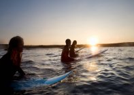 Четыре человека сидят на досках для серфинга — стоковое фото