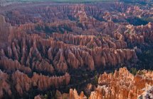 Vue du canyon de Bryce depuis la pointe Bryce — Photo de stock