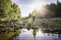 Female hiker walking on riverbed in Englishman River Falls Provincial Park , Vancouver Island, British Columbia, Canada — Stock Photo