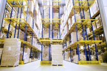 Pallets and shelves of boxes in distribution warehouse — Stock Photo