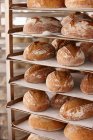 Bread loafs on cooling rack in bakery — Stock Photo