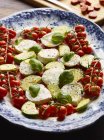 Tomatoes, avocado, mozzarella and basil on plate — Stock Photo