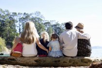 Vista trasera de amigos de la familia sentados en el tronco del árbol en la playa, Nueva Zelanda - foto de stock